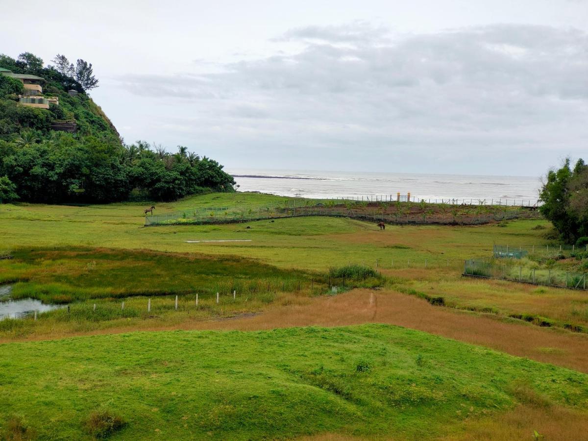 Shobha Farmhouse Kashid Luaran gambar